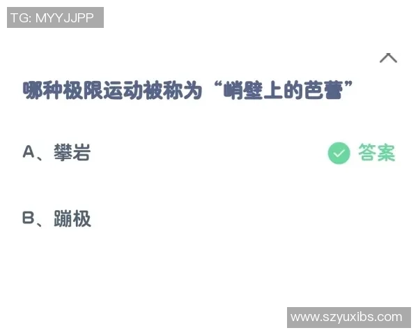 南京极限运动队包夹现象解析与热点探讨