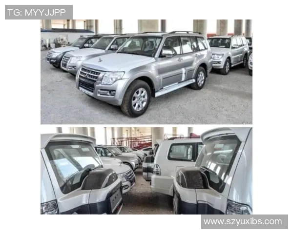 南京足球队在洲际杯中的个人能力亮点分析与点评