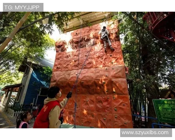 杭州攀岩队心理素质分析与提升策略探讨