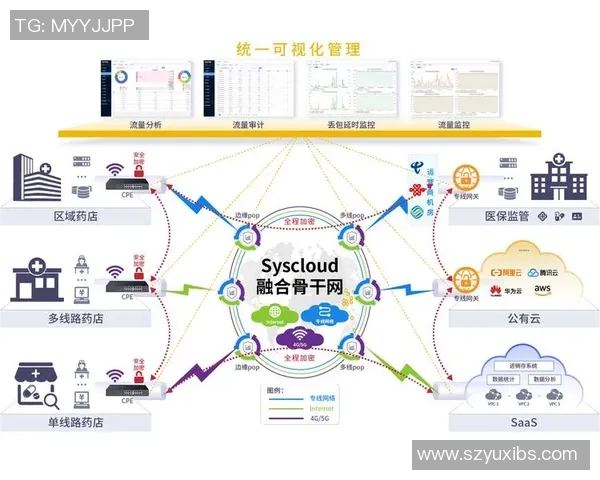 深入探讨Instagram节奏表现的数据分析与优化策略